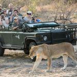 Africa on Foot Walking Safaris Picture 5