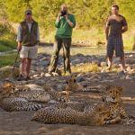 Samara Karoo Lodge Picture 5