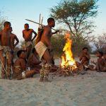 Grasslands Bushman Lodge Picture 5