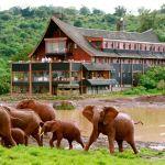 The Ark Lodge - 4