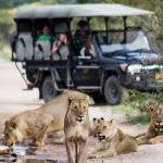 Little Ongava Picture 5