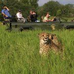 Mkuze Falls Game Lodge Picture 5