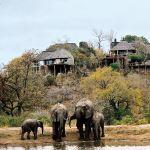 Leopard Hills Picture 5