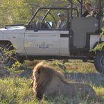 Hamilton's Tented Camp Picture 5