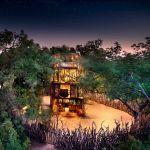 Ngala Safari Lodge Picture 5