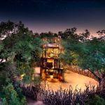 Ngala Tented Camp Picture 5