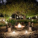 Singita Ebony Lodge Picture 5