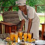 AmaKhosi Safari Lodge Picture 6