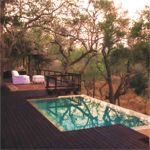 Royal Malewane Safari Lodge Picture 6