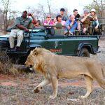 Motswari Game Lodge Picture 6