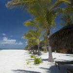 Matemo Island Resort Picture 6