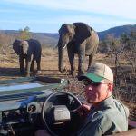 Wildside Tented Camp Picture 6