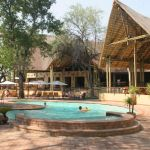 Chobe Safari Lodge Picture 6