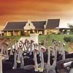 Mooiplaas Guest House Picture 6