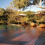 Tuningi Safari Lodge Picture 6
