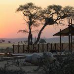 Desert Camp Picture 6