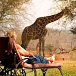 Mohlabetsi Safari Lodge Picture 6