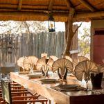 Africa on Foot Walking Safaris Picture 6