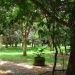 Maritime Bushveld Estate Picture 6