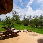Umlani Bushcamp Picture 6