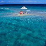 Vilanculos Beach Lodge Picture 6
