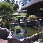 Weltevrede Guest Farm Picture 6
