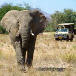 Damaraland Camp Picture 6