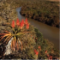 Bushmans River Lodge Picture 6