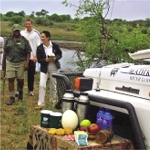 Madikwe River Lodge Picture 6