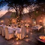 Ngala Safari Lodge Picture 6