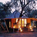 Ngala Tented Camp Picture 6