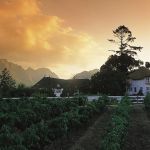 Mont Rochelle Hotel and Mountain Vineyards Picture 6