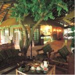 Bakubung Bush Lodge Picture 6