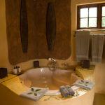 AmaKhosi Safari Lodge Picture 7