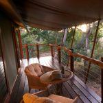 Kapama Buffalo Camp Picture 7