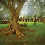 Ghost Mountain Inn Picture 7