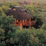 Makweti Safari Lodge Picture 7