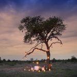 Tanda Tula Safari Camp Picture 7