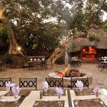 Mabula Game Lodge Picture 7