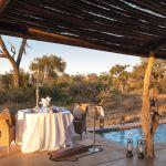 Kings Camp Private Game Reserve Picture 7