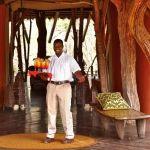 Jaci's Tree Lodge Picture 7