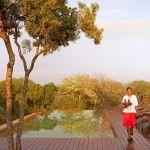 Thanda Tented Camp Picture 7