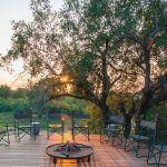 Garonga Safari Camp Picture 7
