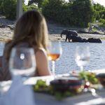 Chobe Game Lodge Picture 7