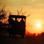 Chobe Safari Lodge Picture 7