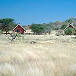 Kavita Lion Lodge Picture 7