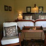 Fugitives' Drift Lodge Picture 7