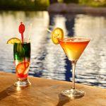 Chobe Marina Lodge Picture 7
