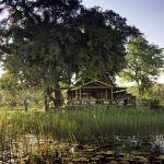 Eagle Island Camp Picture 7
