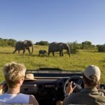 Kichaka Luxury Game Lodge Picture 7